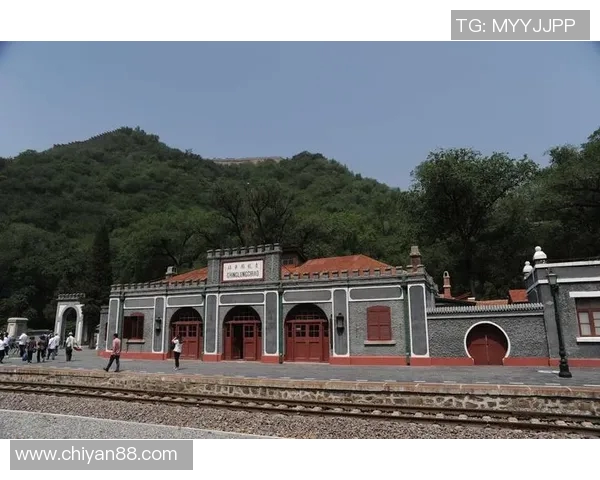 上海攀岩队灵活性分析与其他队伍的全面对比研究