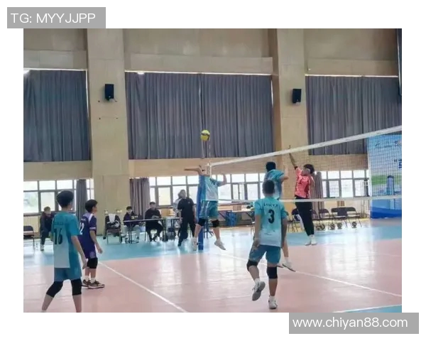 南京排球队的节奏与魅力探秘：一场激情四溢的排球盛宴